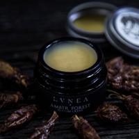 AMBER FOREST | Solid Perfume - Poplar bud, amber, spruce