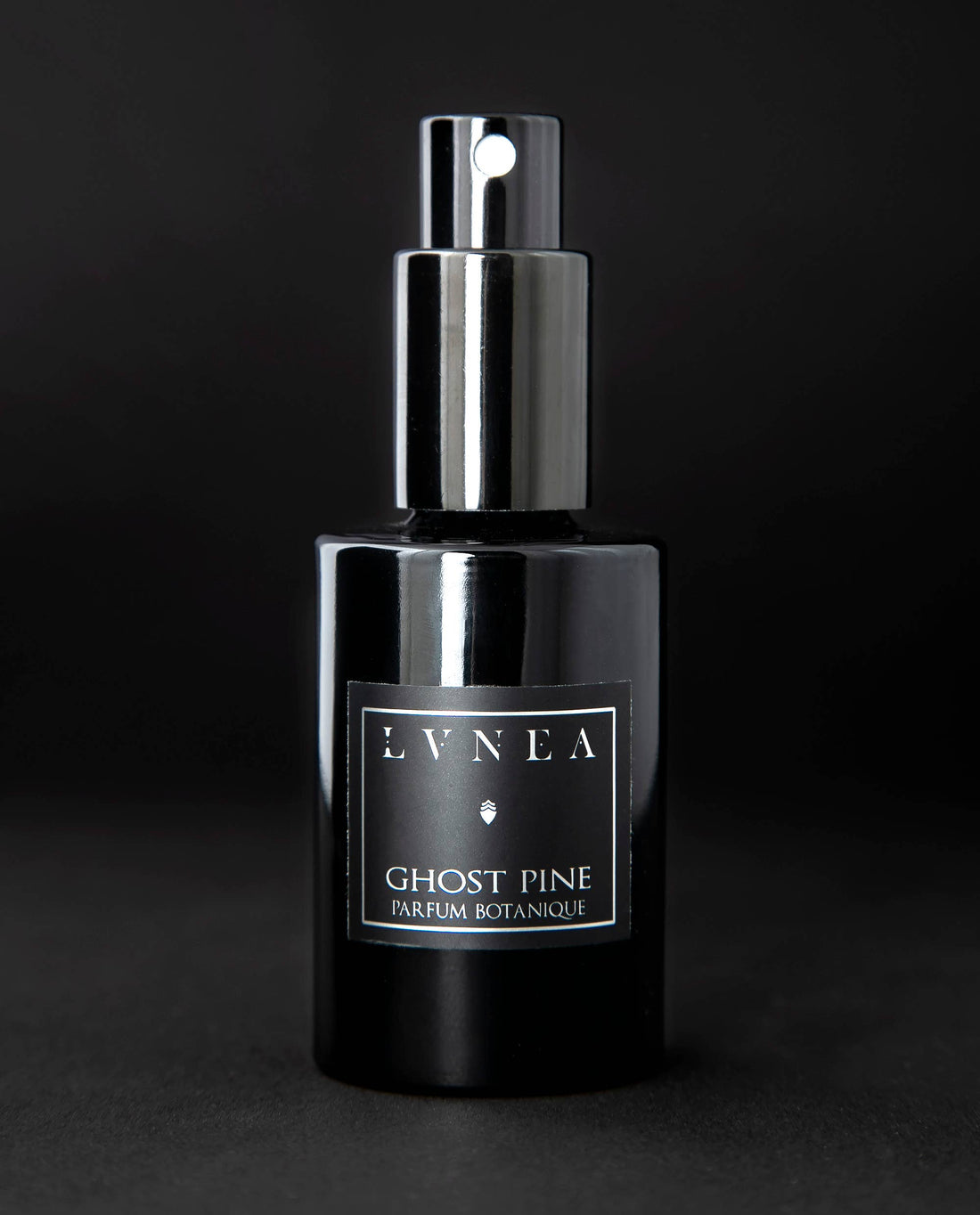 GHOST PINE | Eau de Parfum - pine needles, boreal foliage, damp moss