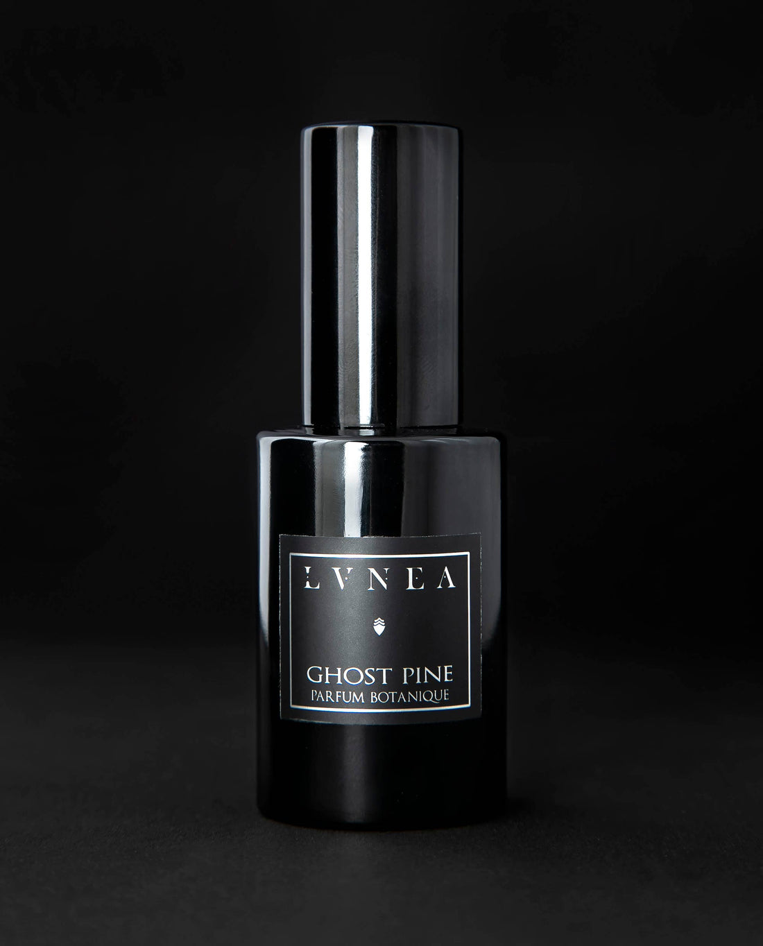 GHOST PINE | Eau de Parfum - pine needles, boreal foliage, damp moss