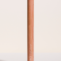 Elate Lip Stick Pencils
