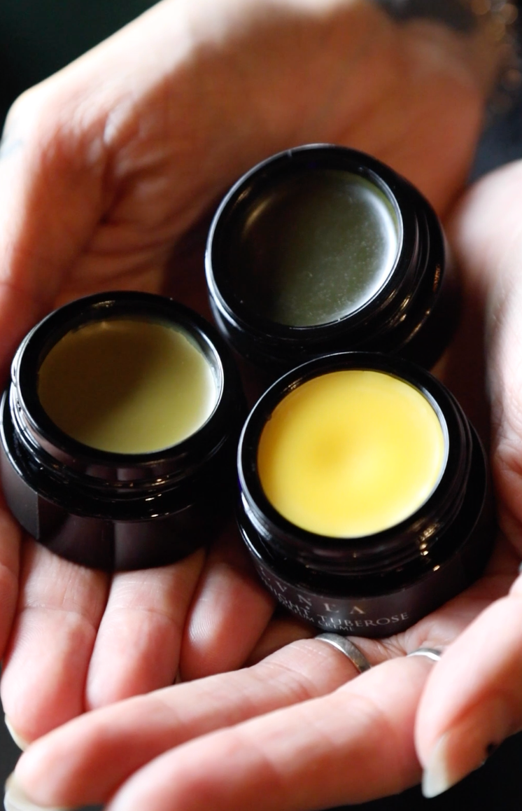 AMBER FOREST | Solid Perfume - Poplar bud, amber, spruce