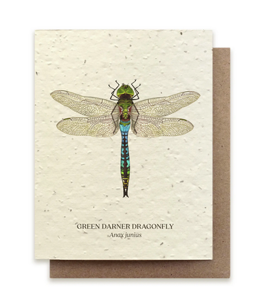Dragonfly Plantable Wildflower Seed Card