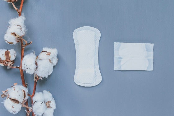 Organic Cotton Panty Liners – Garden City Essentials