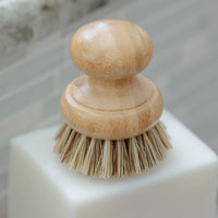 Agave Pot Scrubber Brush