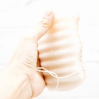 Konjac Walnut Shell Exfoliating Body Sponge