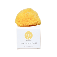 Silk Sea Sponge