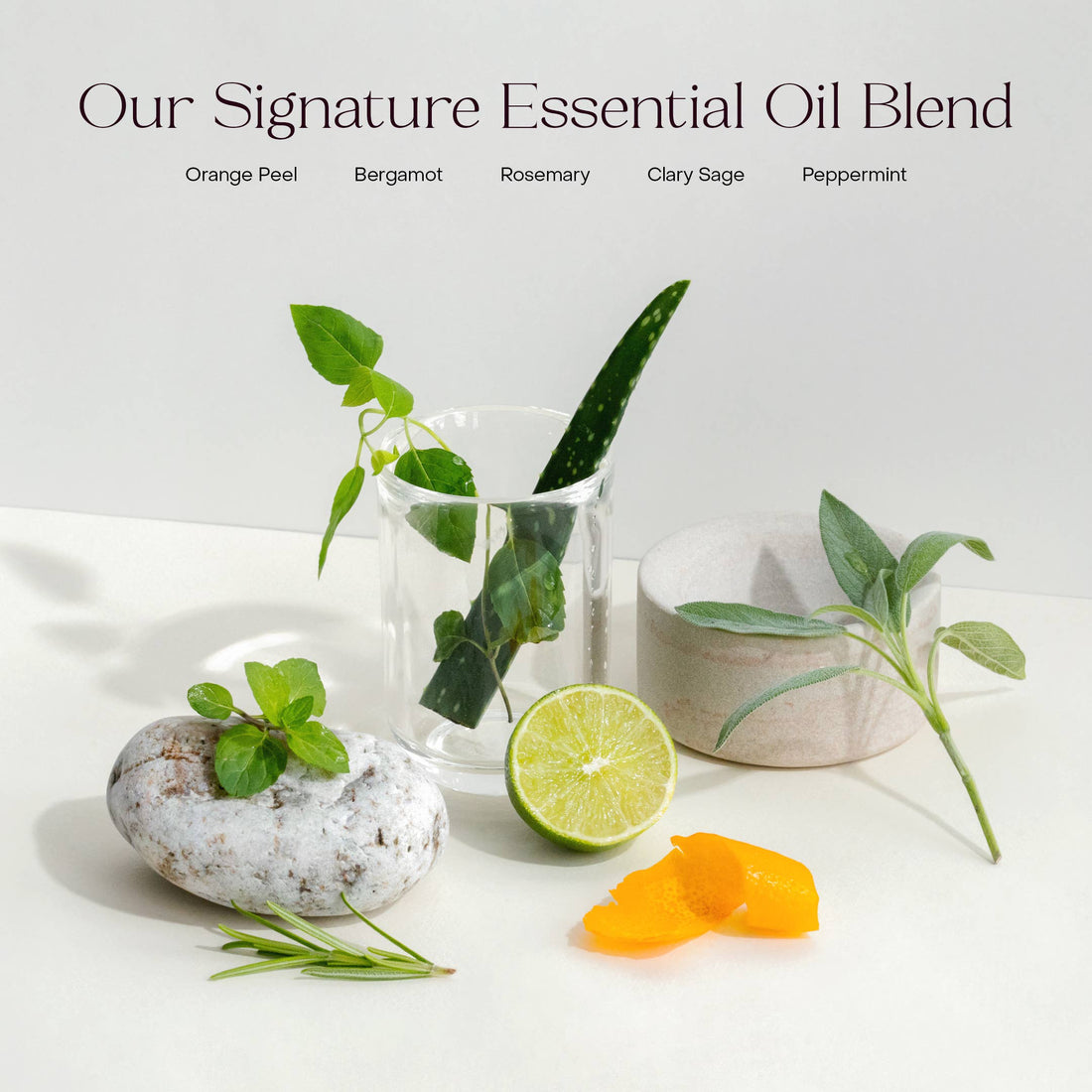 Shampoo | The Shampoo Concentrate Travel Mini