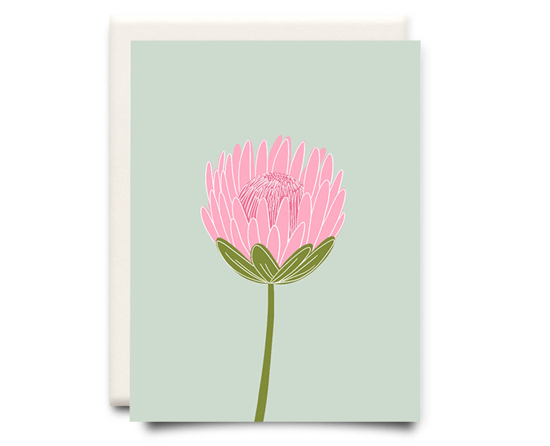 Protea | Floral Greeting Card
