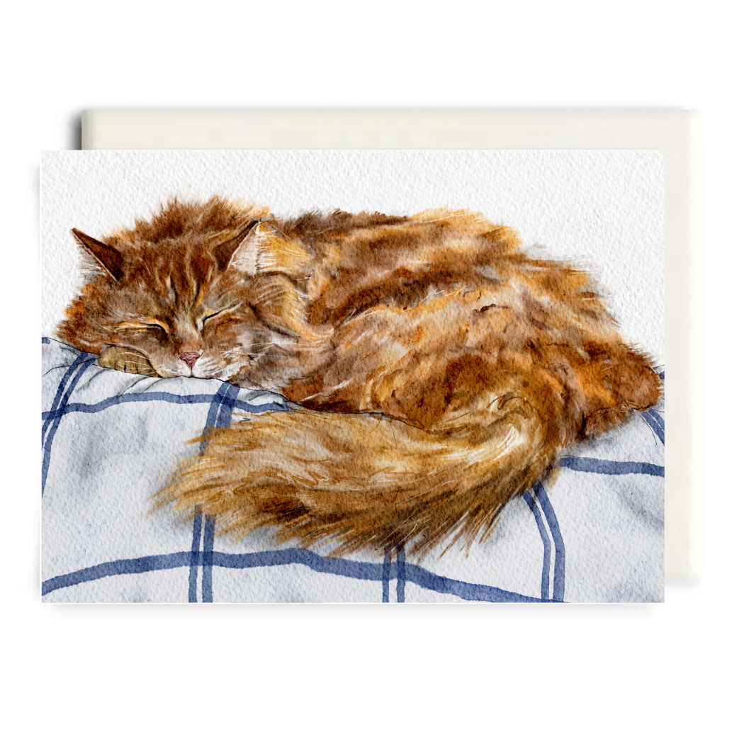 Rest Up | Everyday Greeting Card