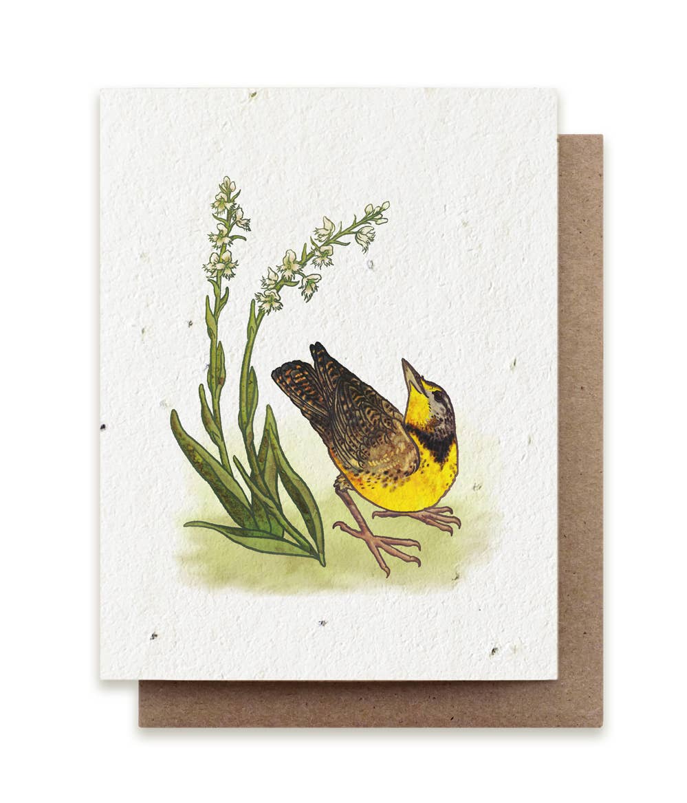 Meadowlark & Prairie Orchid Plantable Herb Seed Card