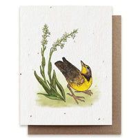 Meadowlark & Prairie Orchid Plantable Herb Seed Card