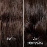 Shampoo | The Shampoo Concentrate