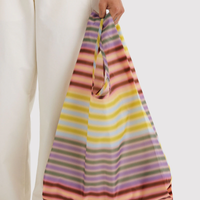 Standard Baggu - Gradient Stripe Multi