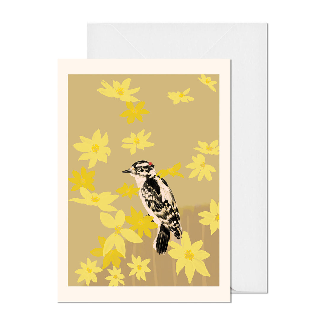 Downy woodpecker and Coreopsis Greeting Card