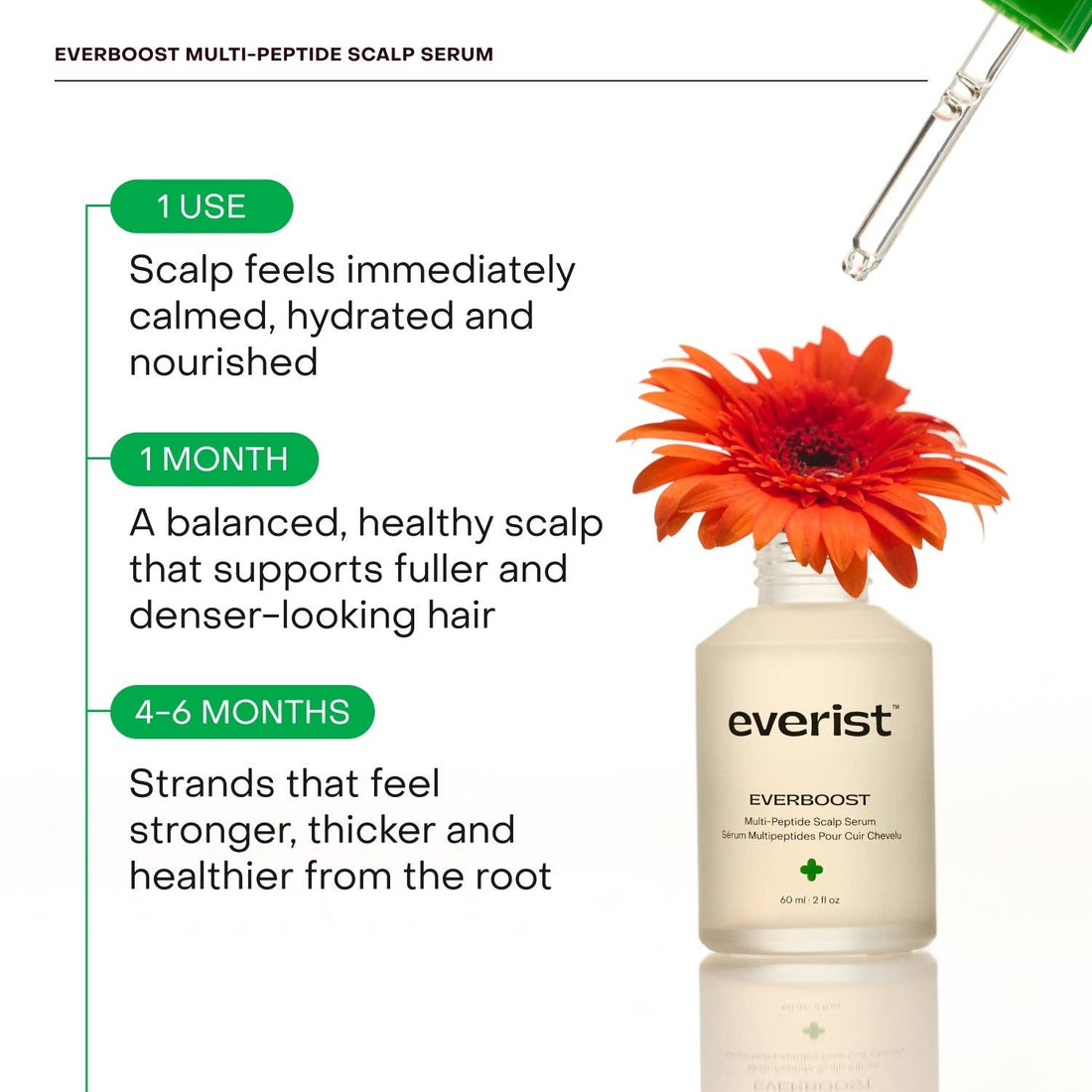 Everist Everboost Multi-Peptide Scalp Serum with a red flower and dropper on a white background