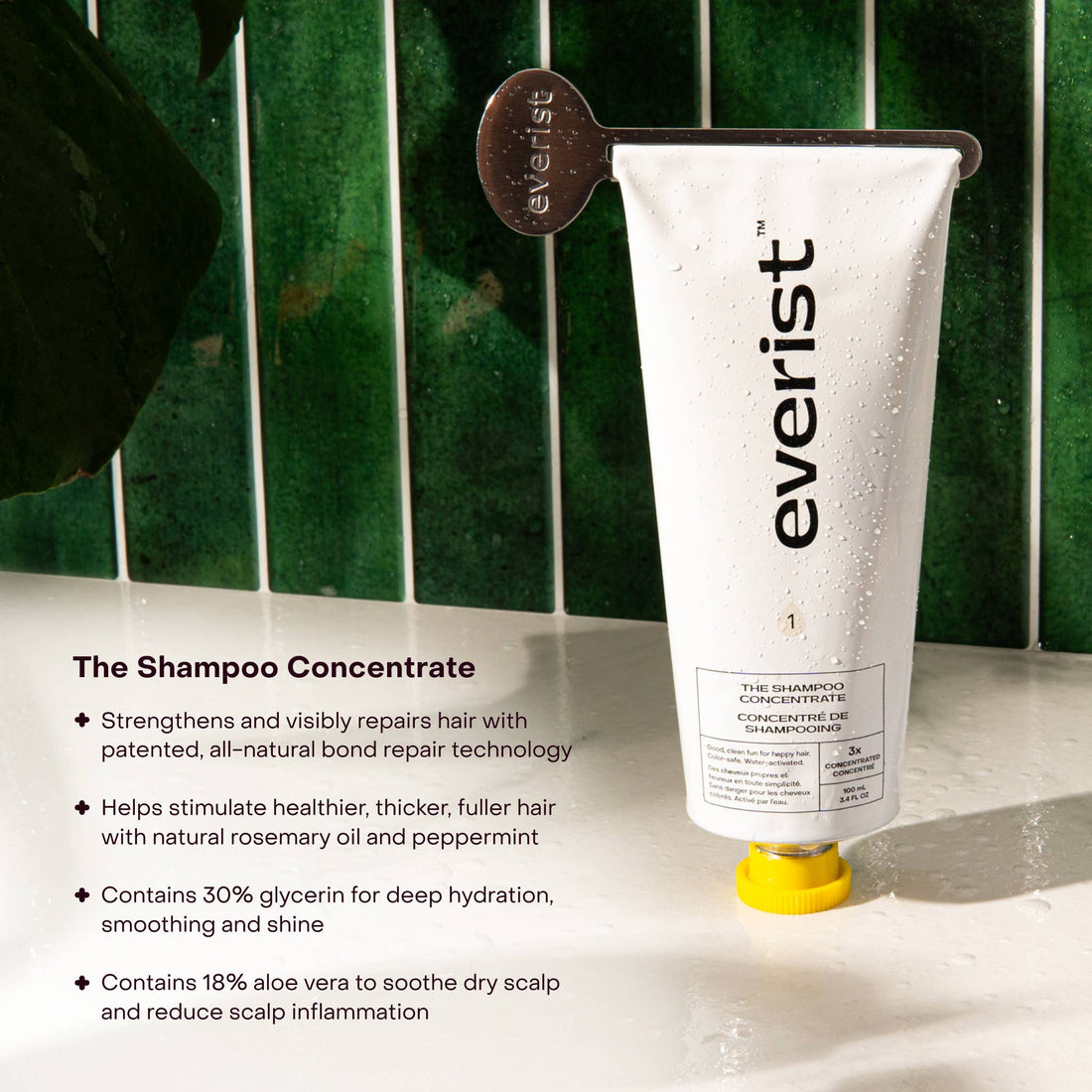 Everist shampoo concentrate tube with product details on a green tiled wall background