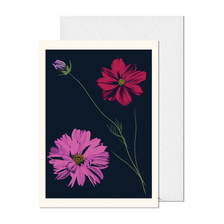 Studying the Cosmos Greeting Card