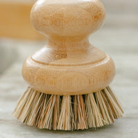 Agave Pot Scrubber Brush
