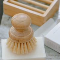 Agave Dish Washing Brush (Short Handle)