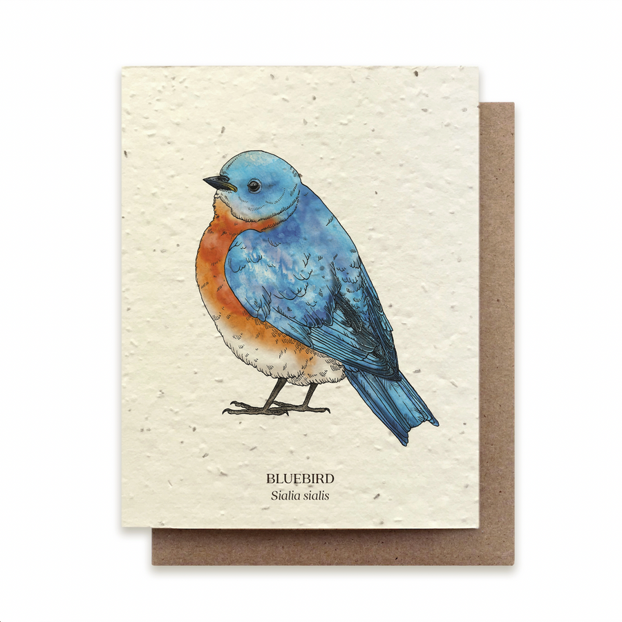 Bluebird Plantable Wildflower Seed Card