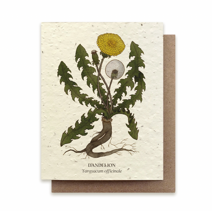 Dandelion Plantable Wildflower Seed  Card