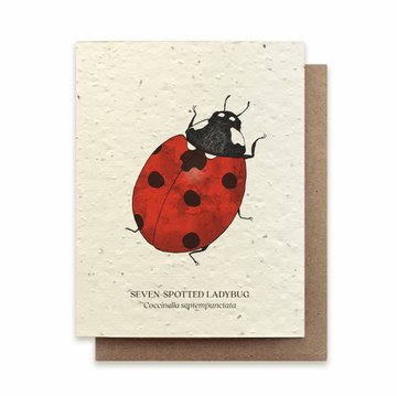 Seven Spotted Ladybug Plantable Wildflower Seed Card
