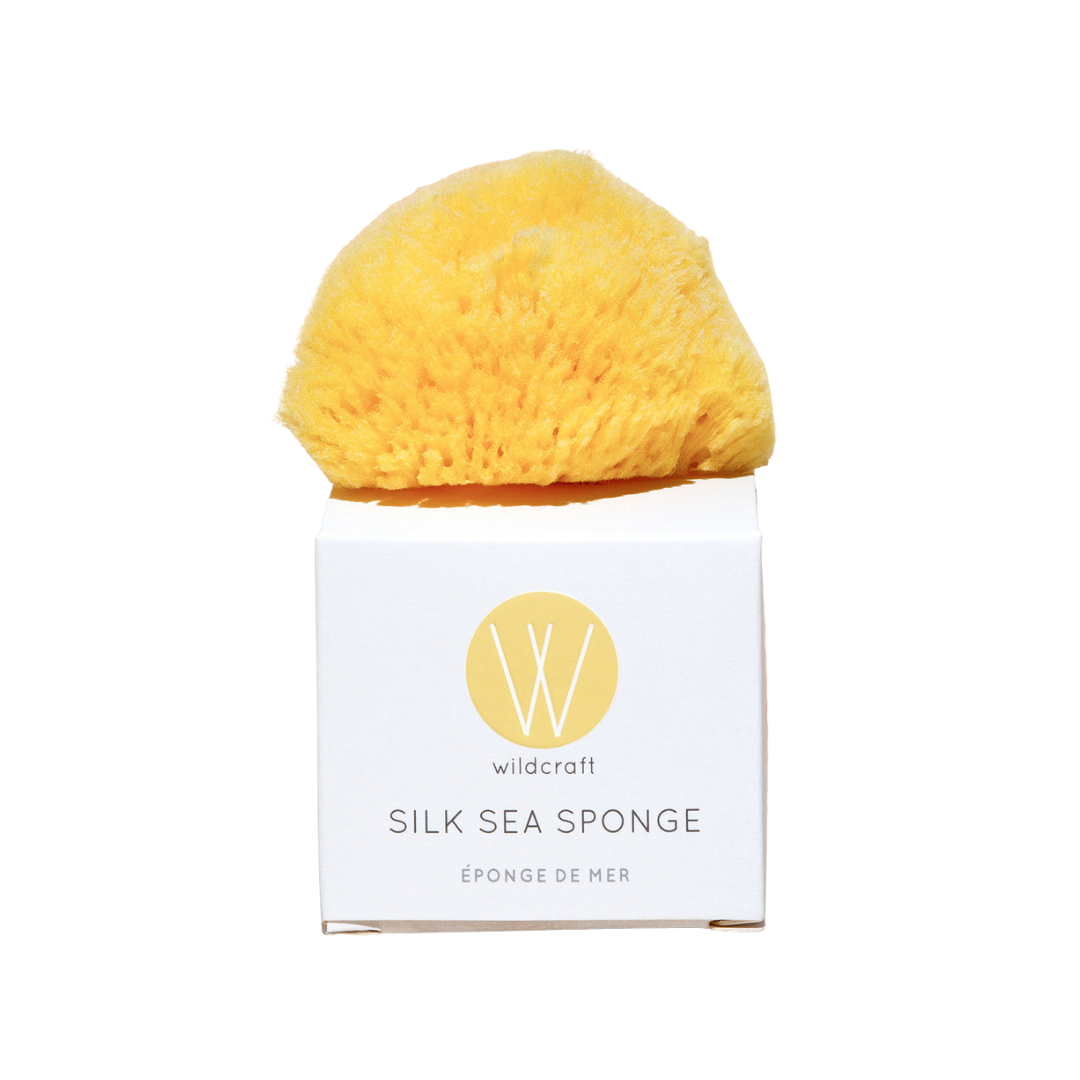Silk Sea Sponge